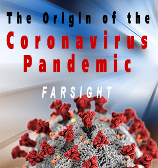 Origin of the Coronavirus: A Farsight Project